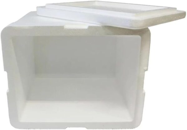 Caixa Isopor Entrega Delivery Motoboy Pizza,lanche 45 Litros Bag