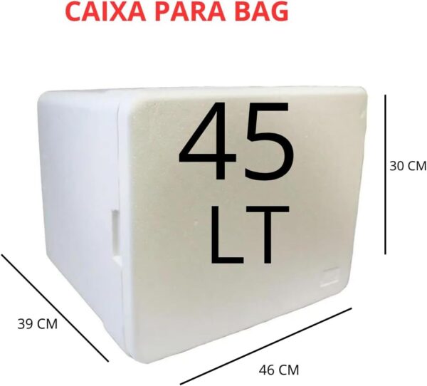 Caixa Isopor Entrega Delivery Motoboy Pizza,lanche 45 Litros Bag