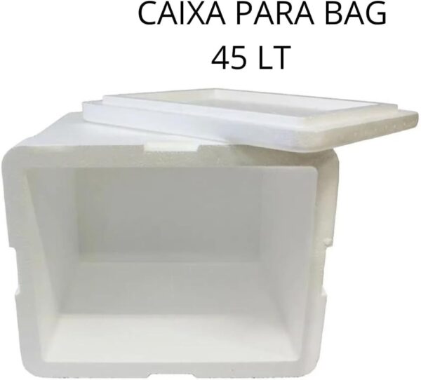 Caixa Isopor Entrega Delivery Motoboy Pizza,lanche 45 Litros Bag