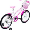 Bicicleta Infantil Aro 20 Tridal Feminina com Roda Lateral