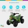 Quadriciclo Elétrico Infantil Marcha Frente/Ré Dino MaxiToys (Verde)