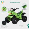 Quadriciclo Elétrico Infantil Marcha Frente/Ré Dino MaxiToys (Verde)